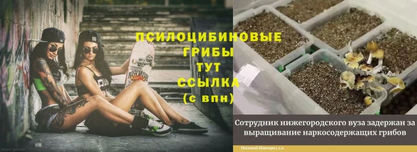ECSTASY Магас