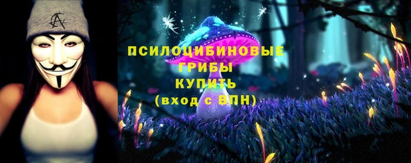 ECSTASY Магас