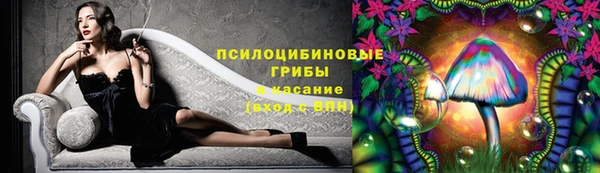 трава Медногорск