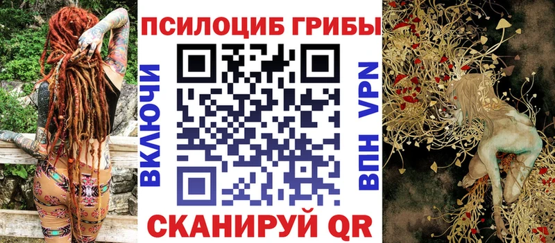 Псилоцибиновые грибы мицелий  Оса 
